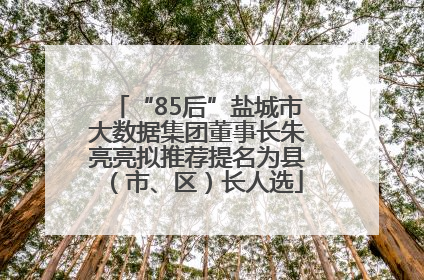 “85后”盐城市大数据集团董事长朱亮亮拟推荐提名为县（市、区）长人选