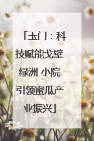 玉门：科技赋能戈壁绿洲 小院引领蜜瓜产业振兴