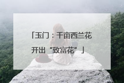 玉门：千亩西兰花开出“致富花”