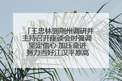 王忠林到荆州调研并主持召开座谈会时强调 坚定信心 加压奋进 努力当好江汉平原高质量发展排头兵