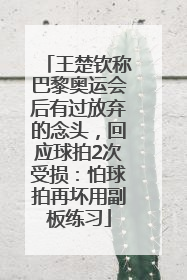 王楚钦称巴黎奥运会后有过放弃的念头，回应球拍2次受损：怕球拍再坏用副板练习