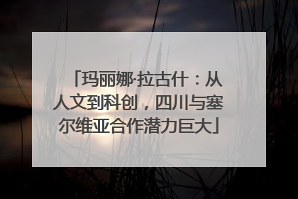 玛丽娜·拉古什：从人文到科创，四川与塞尔维亚合作潜力巨大
