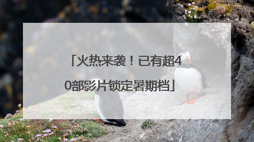 火热来袭！已有超40部影片锁定暑期档