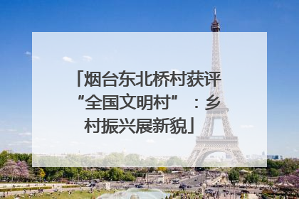 烟台东北桥村获评“全国文明村”：乡村振兴展新貌