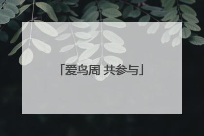爱鸟周 共参与