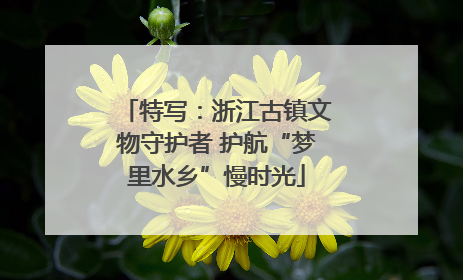 特写：浙江古镇文物守护者 护航“梦里水乡”慢时光