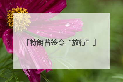 特朗普签令“放行”