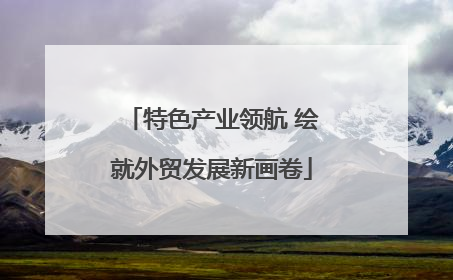 特色产业领航 绘就外贸发展新画卷