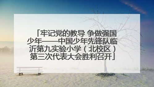 牢记党的教导 争做强国少年——中国少年先锋队临沂第九实验小学（北校区）第三次代表大会胜利召开