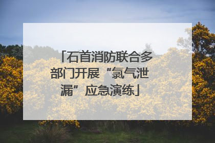 石首消防联合多部门开展“氯气泄漏”应急演练