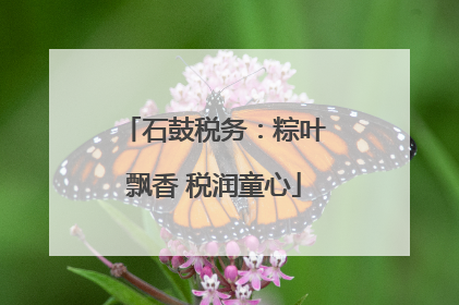 石鼓税务：粽叶飘香 税润童心