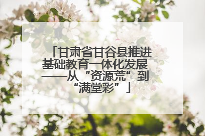 甘肃省甘谷县推进基础教育一体化发展——从“资源荒”到“满堂彩”