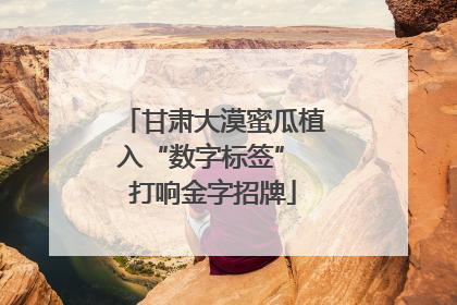甘肃大漠蜜瓜植入“数字标签” 打响金字招牌