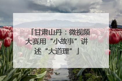甘肃山丹：微视频大赛用“小故事”讲述“大道理”