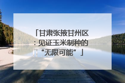 甘肃张掖甘州区：见证玉米制种的“无限可能”