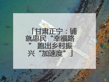 甘肃正宁：铺就惠民“幸福路” 跑出乡村振兴“加速度”