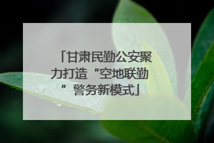 甘肃民勤公安聚力打造“空地联勤”警务新模式