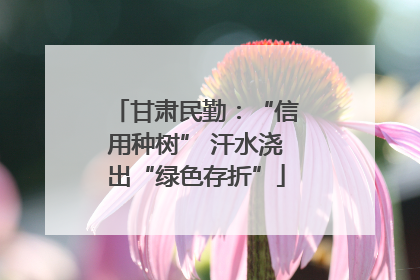 甘肃民勤：“信用种树” 汗水浇出“绿色存折”