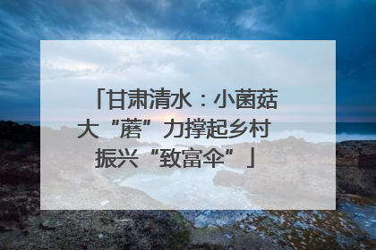 甘肃清水：小菌菇大“蘑”力撑起乡村振兴“致富伞”