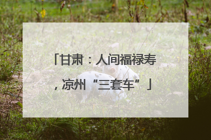 甘肃：人间福禄寿，凉州“三套车”