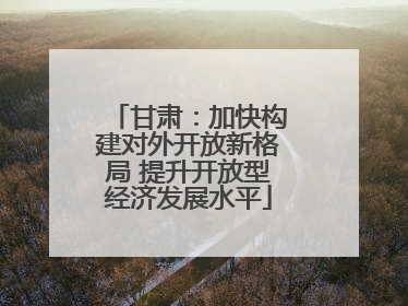 甘肃：加快构建对外开放新格局 提升开放型经济发展水平