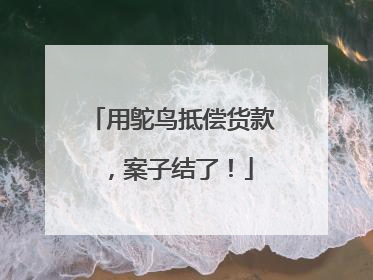 用鸵鸟抵偿货款，案子结了！