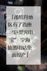 甬绍舟地区有了首座“巨型充电宝” 宁海抽蓄电站全面投产