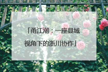 甬江潮：一座县域视角下的浙川协作