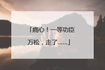痛心！一等功臣万松，走了……