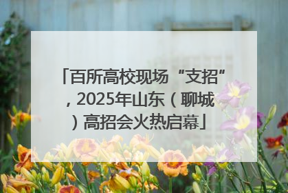 百所高校现场“支招”，2025年山东（聊城）高招会火热启幕