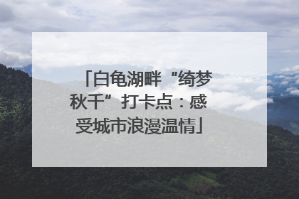 白龟湖畔“绮梦秋千”打卡点：感受城市浪漫温情