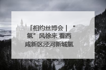 相约丝博会｜“氢”风徐来 看西咸新区泾河新城氢能产业聚链成势