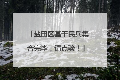 盐田区基干民兵集合完毕，请点验！