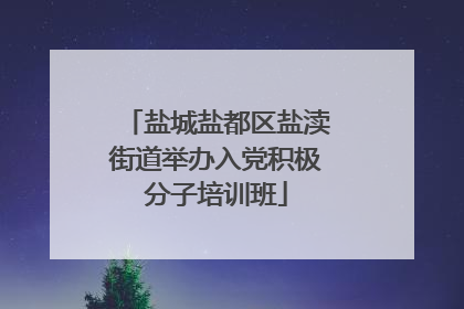 盐城盐都区盐渎街道举办入党积极分子培训班