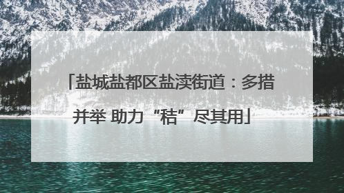 盐城盐都区盐渎街道：多措并举 助力“秸”尽其用