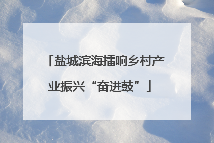 盐城滨海擂响乡村产业振兴“奋进鼓”