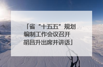 省“十五五”规划编制工作会议召开 胡昌升出席并讲话