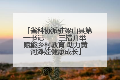 省科协派驻梁山县第一书记——三措并举 赋能乡村教育 助力黄河滩娃健康成长