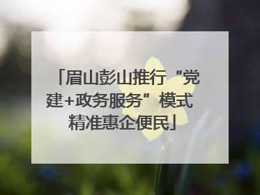 眉山彭山推行“党建+政务服务”模式 精准惠企便民