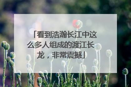 看到浩瀚长江中这么多人组成的渡江长龙，非常震撼