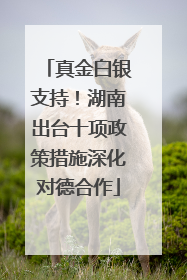 真金白银支持！湖南出台十项政策措施深化对德合作