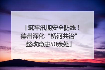 筑牢汛期安全防线！德州深化“桥河共治”整改隐患50余处