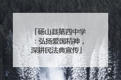 砀山县第四中学：弘扬爱国精神，深耕民法典宣传