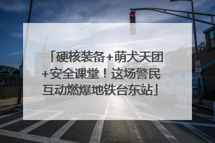 硬核装备+萌犬天团+安全课堂！这场警民互动燃爆地铁台东站