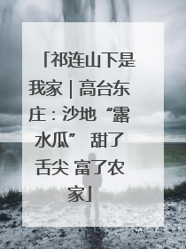祁连山下是我家｜高台东庄：沙地“露水瓜” 甜了舌尖 富了农家