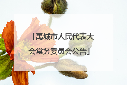 禹城市人民代表大会常务委员会公告