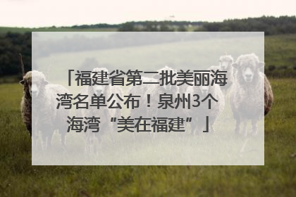 福建省第二批美丽海湾名单公布！泉州3个海湾“美在福建”