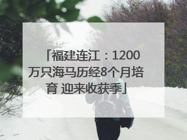 福建连江：1200万只海马历经8个月培育 迎来收获季