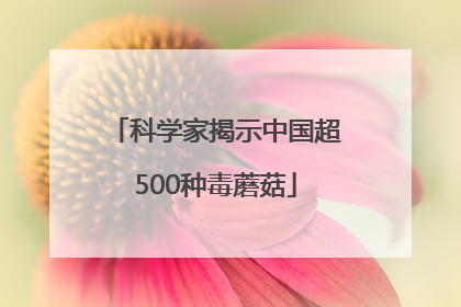 科学家揭示中国超500种毒蘑菇