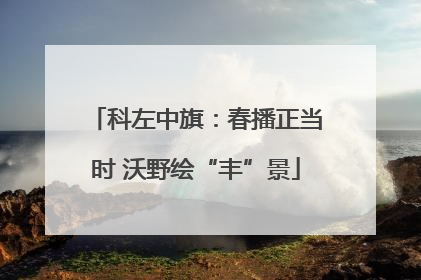 科左中旗：春播正当时 沃野绘“丰”景